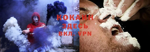сатива Елабуга