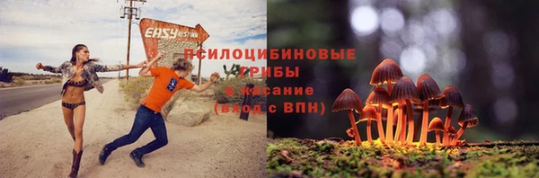 герыч Ельня