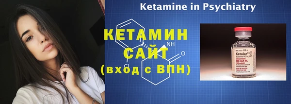 сатива Елабуга