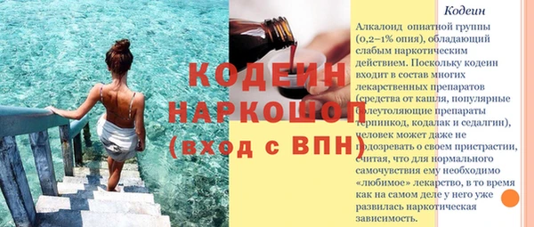 сатива Елабуга