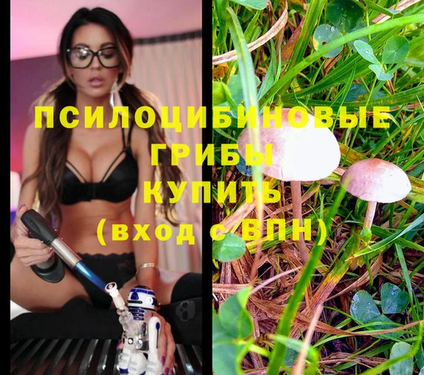 дистиллят марихуана Елизово