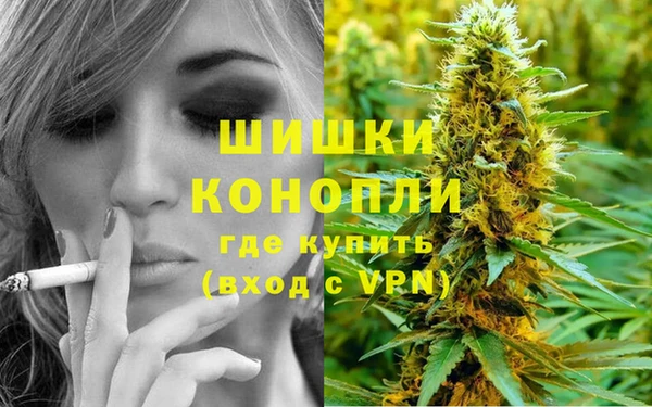 сатива Елабуга