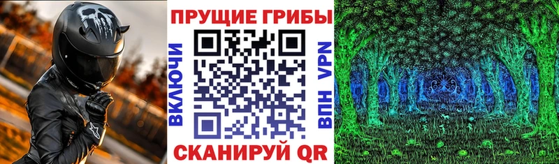 Псилоцибиновые грибы прущие грибы Сальск