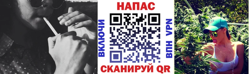 Конопля гибрид  Купить где  Сальск 