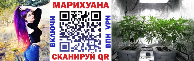 Бошки марихуана ГИДРОПОН Сальск